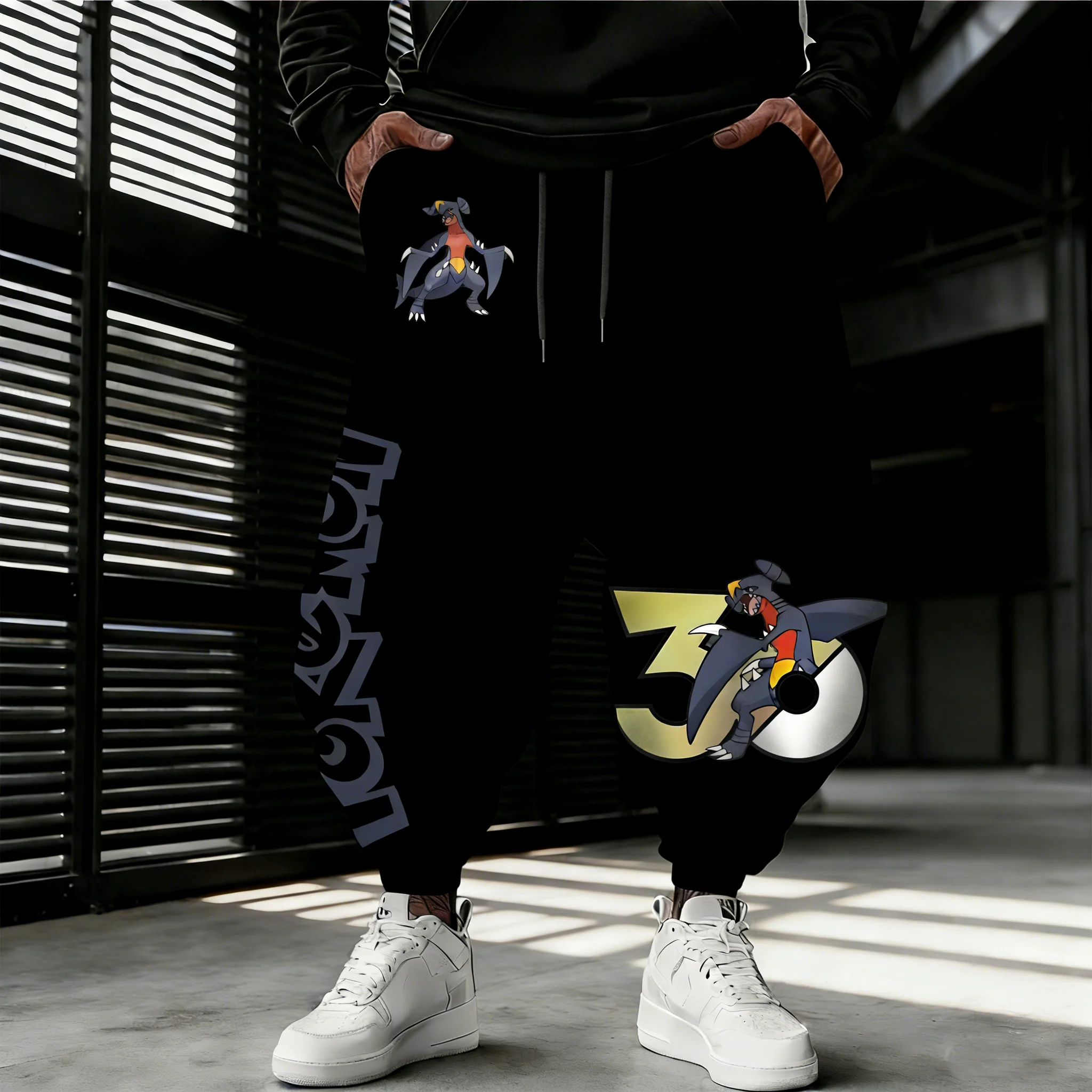 Pokemon  30th Anniversary Garc - Street Fashion Japan 리뷰 및 가격